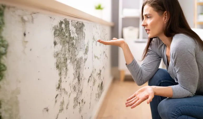 Consigli per eliminare la muffa da muri e pareti