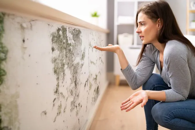 Come eliminare la muffa dai muri: guida completa e soluzioni