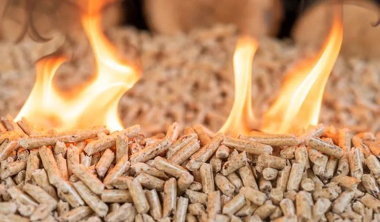 Stufe a pellet: funzioni, vantaggi e marche migliori